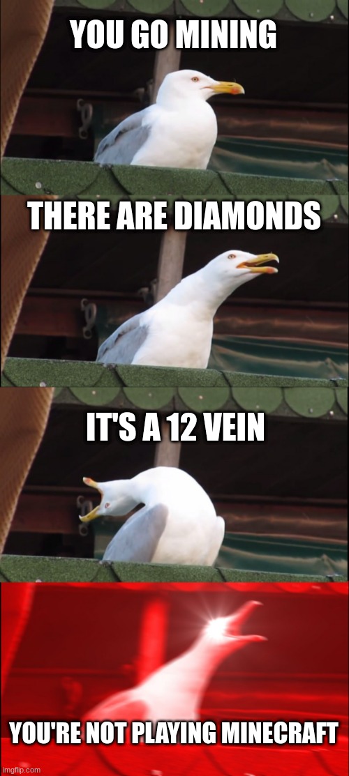 Inhaling Seagull Meme | YOU GO MINING; THERE ARE DIAMONDS; IT'S A 12 VEIN; YOU'RE NOT PLAYING MINECRAFT | image tagged in memes,inhaling seagull | made w/ Imgflip meme maker