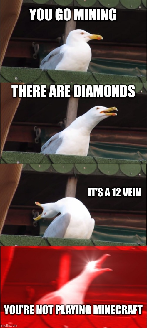 AYOOOOO | YOU GO MINING; THERE ARE DIAMONDS; IT'S A 12 VEIN; YOU'RE NOT PLAYING MINECRAFT | image tagged in memes,inhaling seagull,diamonds,minecraft | made w/ Imgflip meme maker