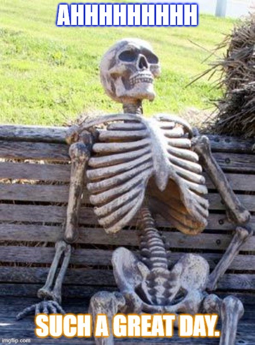 Skeleton Chillin | AHHHHHHHHH; SUCH A GREAT DAY. | image tagged in memes,waiting skeleton | made w/ Imgflip meme maker