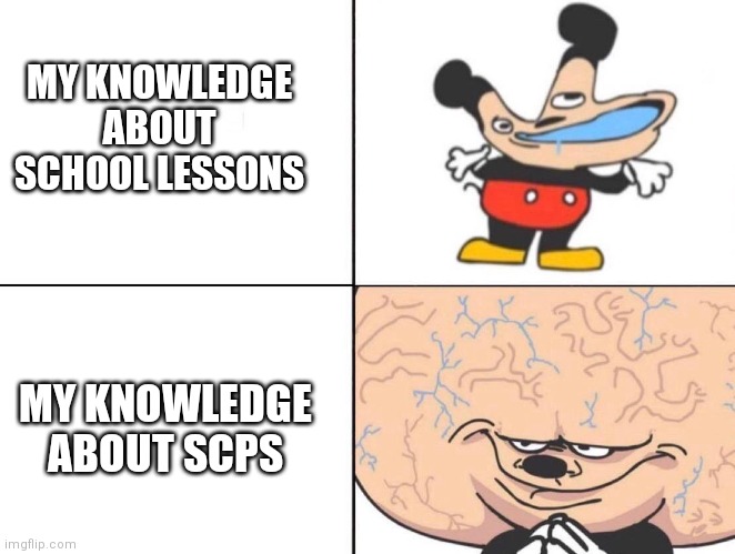 SCP meme | MY KNOWLEDGE ABOUT SCHOOL LESSONS; MY KNOWLEDGE ABOUT SCPS | image tagged in big brain mickey | made w/ Imgflip meme maker
