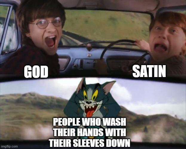 :| | SATIN; GOD; PEOPLE WHO WASH THEIR HANDS WITH THEIR SLEEVES DOWN | image tagged in tom chasing harry and ron weasly | made w/ Imgflip meme maker