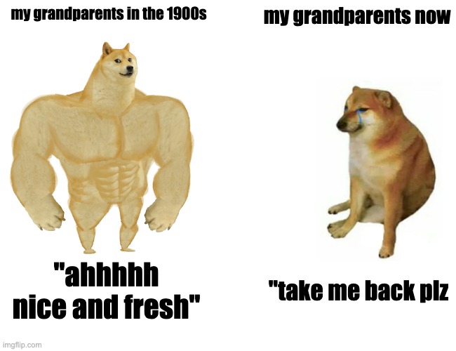 Buff Doge vs. Cheems | my grandparents in the 1900s; my grandparents now; "ahhhhh nice and fresh"; "take me back plz | image tagged in memes,buff doge vs cheems | made w/ Imgflip meme maker