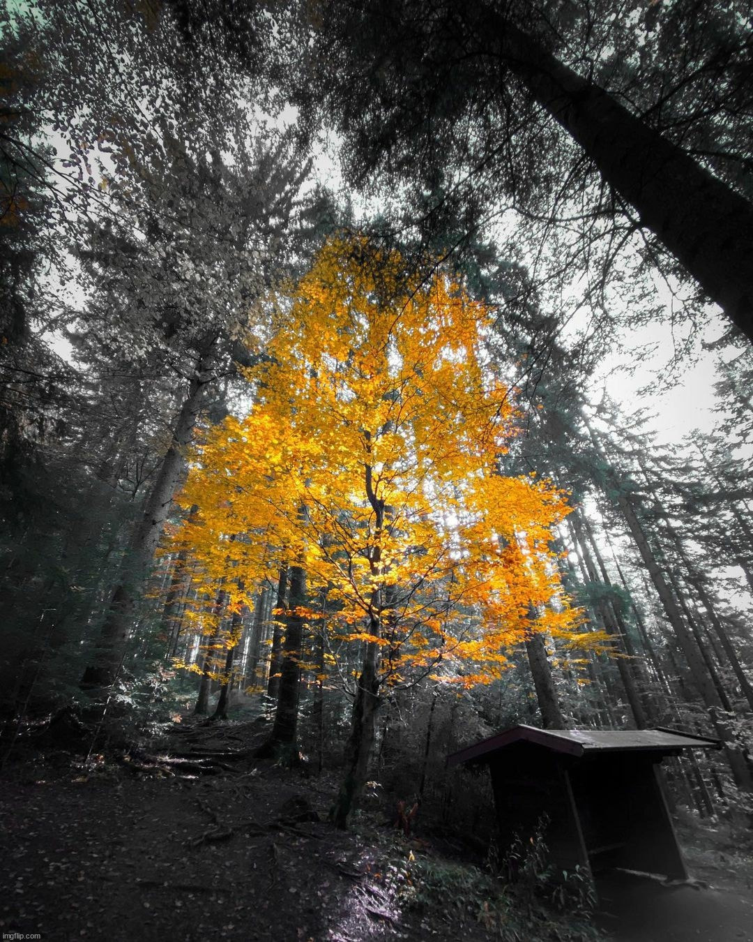 image tagged in awesome | made w/ Imgflip meme maker