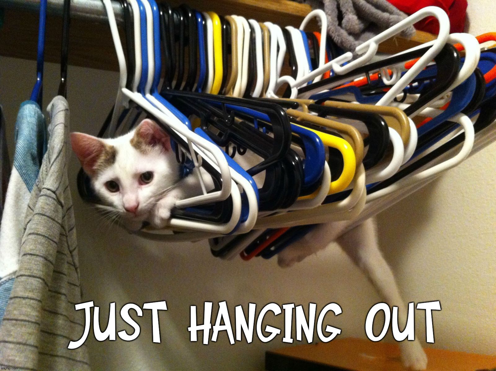 JUST HANGING OUT | image tagged in eye roll | made w/ Imgflip meme maker