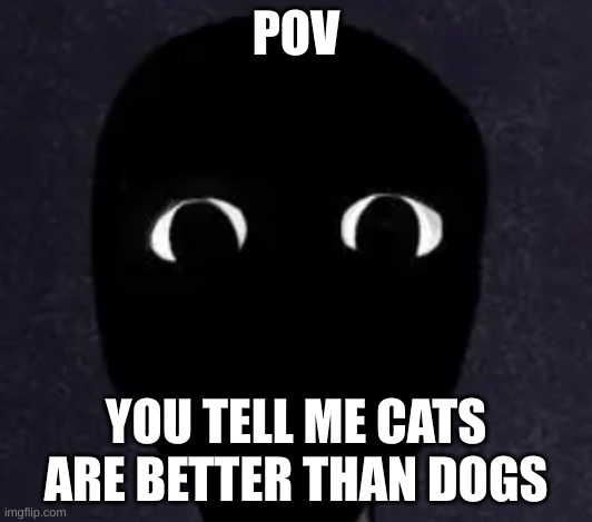 dogs are superior. cats are inferior. | POV; YOU TELL ME CATS ARE BETTER THAN DOGS | image tagged in mandela catalogue face | made w/ Imgflip meme maker