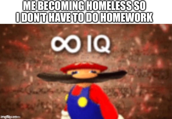 Hol up | ME BECOMING HOMELESS SO I DON’T HAVE TO DO HOMEWORK | image tagged in smrt,infinite iq,hol up,lol | made w/ Imgflip meme maker