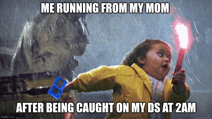 idk | ME RUNNING FROM MY MOM; AFTER BEING CAUGHT ON MY DS AT 2AM | image tagged in imgflip,running | made w/ Imgflip meme maker