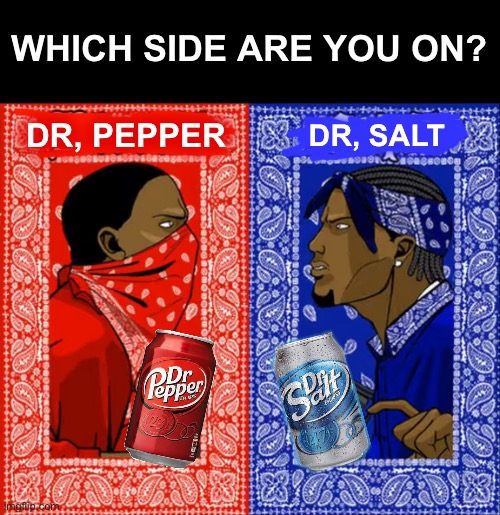 which side are you on | WHICH SIDE ARE YOU ON? DR, PEPPER; DR, SALT | image tagged in which side are you on,memes | made w/ Imgflip meme maker