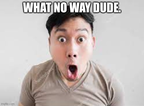 What No Way Dude | WHAT NO WAY DUDE. | image tagged in suprise,suprised face,asian face | made w/ Imgflip meme maker