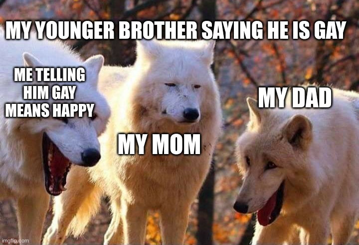Laughing wolf | MY YOUNGER BROTHER SAYING HE IS GAY; ME TELLING HIM GAY MEANS HAPPY; MY DAD; MY MOM | image tagged in laughing wolf | made w/ Imgflip meme maker