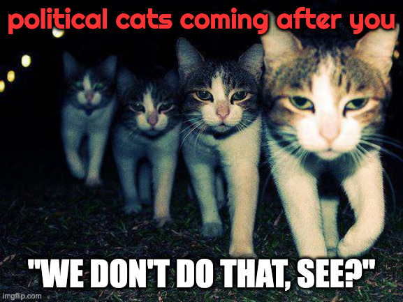 Wrong Neighboorhood Cats Meme | political cats coming after you "WE DON'T DO THAT, SEE?" | image tagged in memes,wrong neighboorhood cats | made w/ Imgflip meme maker