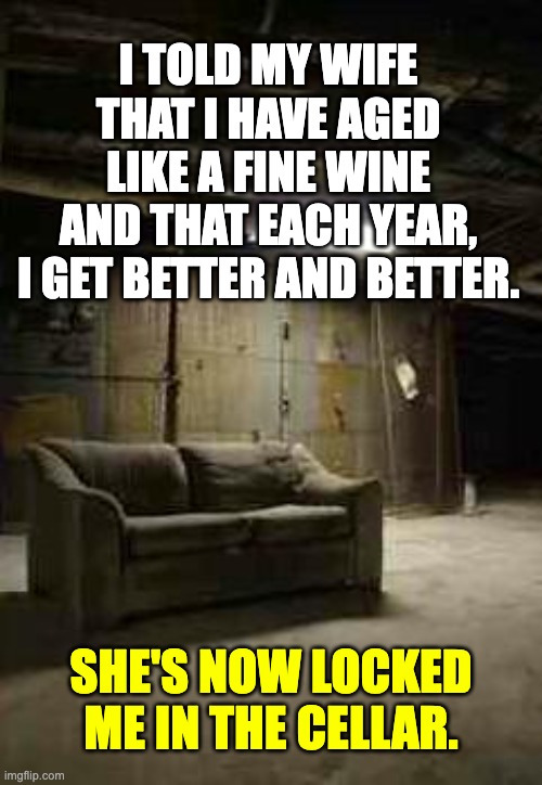 age | I TOLD MY WIFE THAT I HAVE AGED LIKE A FINE WINE AND THAT EACH YEAR, I GET BETTER AND BETTER. SHE'S NOW LOCKED ME IN THE CELLAR. | image tagged in basement | made w/ Imgflip meme maker