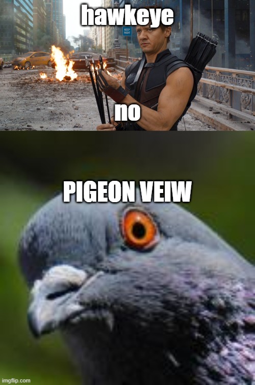 hawkeye; no; PIGEON VEIW | image tagged in hawkeye | made w/ Imgflip meme maker