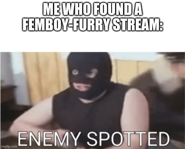 found one; link in comments | ME WHO FOUND A FEMBOY-FURRY STREAM: | image tagged in enemy spotted,memes,anti furry,oh wow are you actually reading these tags,stop reading the tags | made w/ Imgflip meme maker