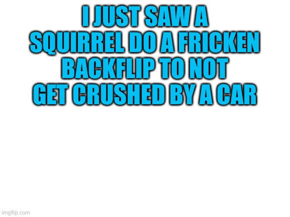 Wtf- | I JUST SAW A SQUIRREL DO A FRICKEN BACKFLIP TO NOT GET CRUSHED BY A CAR | image tagged in blank white template | made w/ Imgflip meme maker