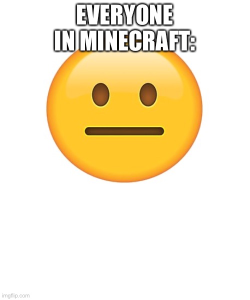 Straight Face | EVERYONE IN MINECRAFT: | image tagged in straight face | made w/ Imgflip meme maker