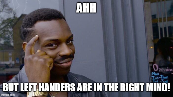Roll Safe Think About It Meme | AHH BUT LEFT HANDERS ARE IN THE RIGHT MIND! | image tagged in memes,roll safe think about it | made w/ Imgflip meme maker