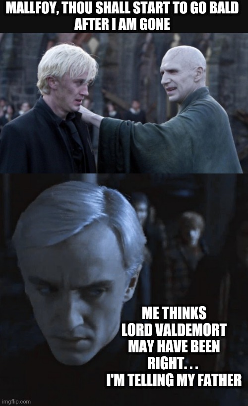 Dude's Going Bald | MALLFOY, THOU SHALL START TO GO BALD
AFTER I AM GONE; ME THINKS LORD VALDEMORT
MAY HAVE BEEN RIGHT. . . 
I'M TELLING MY FATHER | image tagged in draco malfoy,harry potter,lord voldemort,slitheren | made w/ Imgflip meme maker