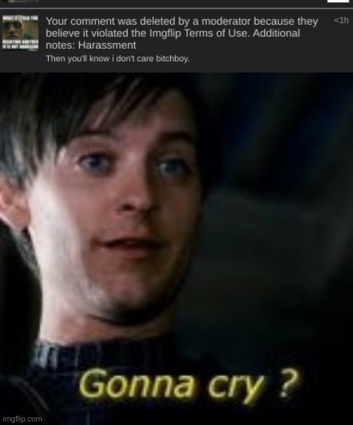 made w/ Imgflip meme maker