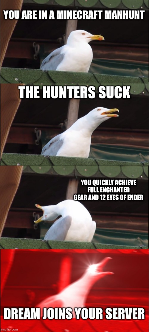 Inhaling Seagull | YOU ARE IN A MINECRAFT MANHUNT; THE HUNTERS SUCK; YOU QUICKLY ACHIEVE FULL ENCHANTED GEAR AND 12 EYES OF ENDER; DREAM JOINS YOUR SERVER | image tagged in memes,inhaling seagull | made w/ Imgflip meme maker