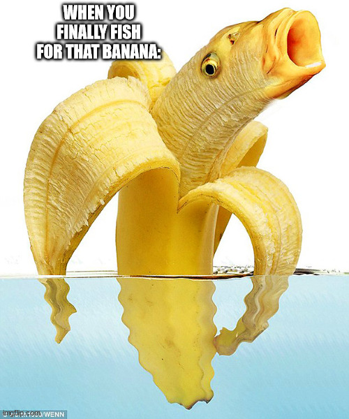 WHEN YOU FINALLY FISH FOR THAT BANANA: | made w/ Imgflip meme maker