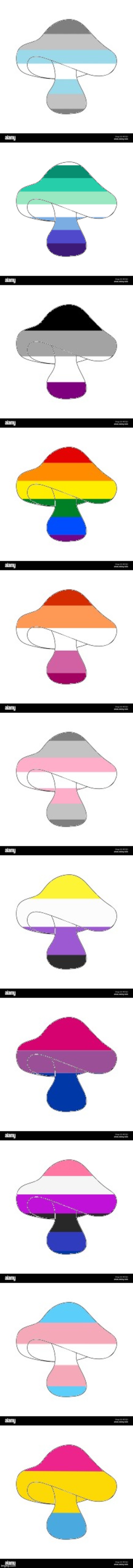 LGBTQ mushrooms :> (comment other flags, if you want) | made w/ Imgflip meme maker