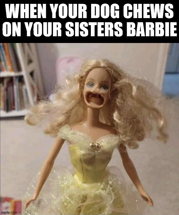 WHEN YOUR DOG CHEWS ON YOUR SISTERS BARBIE | image tagged in cursed image | made w/ Imgflip meme maker