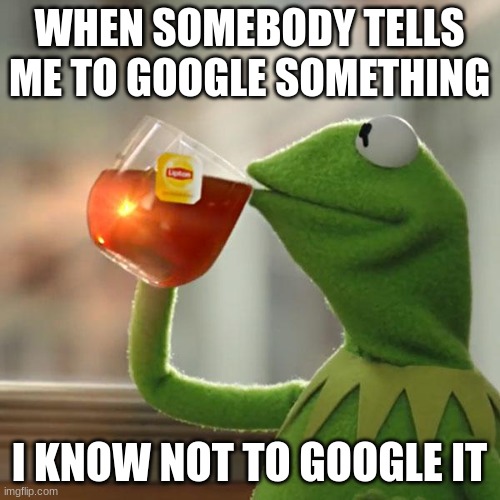 But That's None Of My Business | WHEN SOMEBODY TELLS ME TO GOOGLE SOMETHING; I KNOW NOT TO GOOGLE IT | image tagged in memes,but that's none of my business,kermit the frog | made w/ Imgflip meme maker