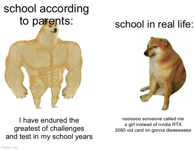 Buff Doge vs. Cheems | school according to parents:; school in real life:; noooooo someone called me a girl instead of nvidia RTX 3080 vid card im gonna dieeeeeeee; I have endured the greatest of challenges and test in my school years | image tagged in memes,buff doge vs cheems | made w/ Imgflip meme maker