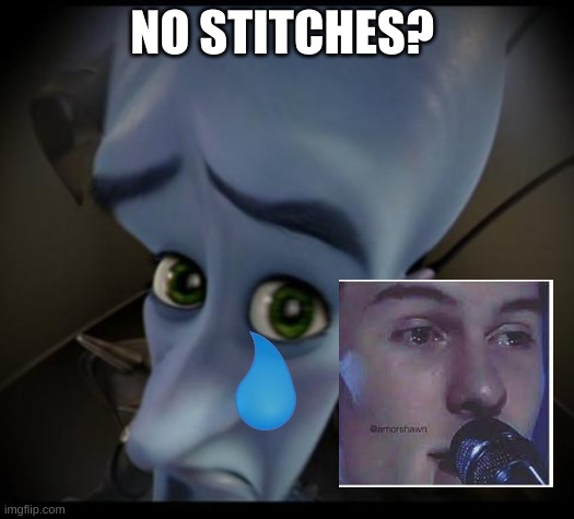 Megamind peeking | NO STITCHES? | image tagged in no bitches,shawn mendes | made w/ Imgflip meme maker