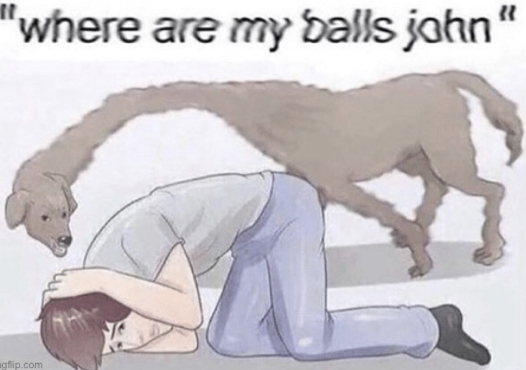 High Quality Where are my balls Blank Meme Template
