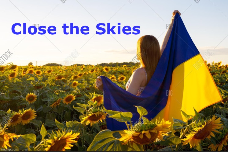 Close the Skies | Close the Skies | image tagged in close the skies | made w/ Imgflip meme maker