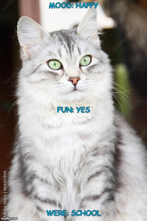 i happy | MOOD: HAPPY; FUN: YES; WERE: SCHOOL | image tagged in silver cat template | made w/ Imgflip meme maker