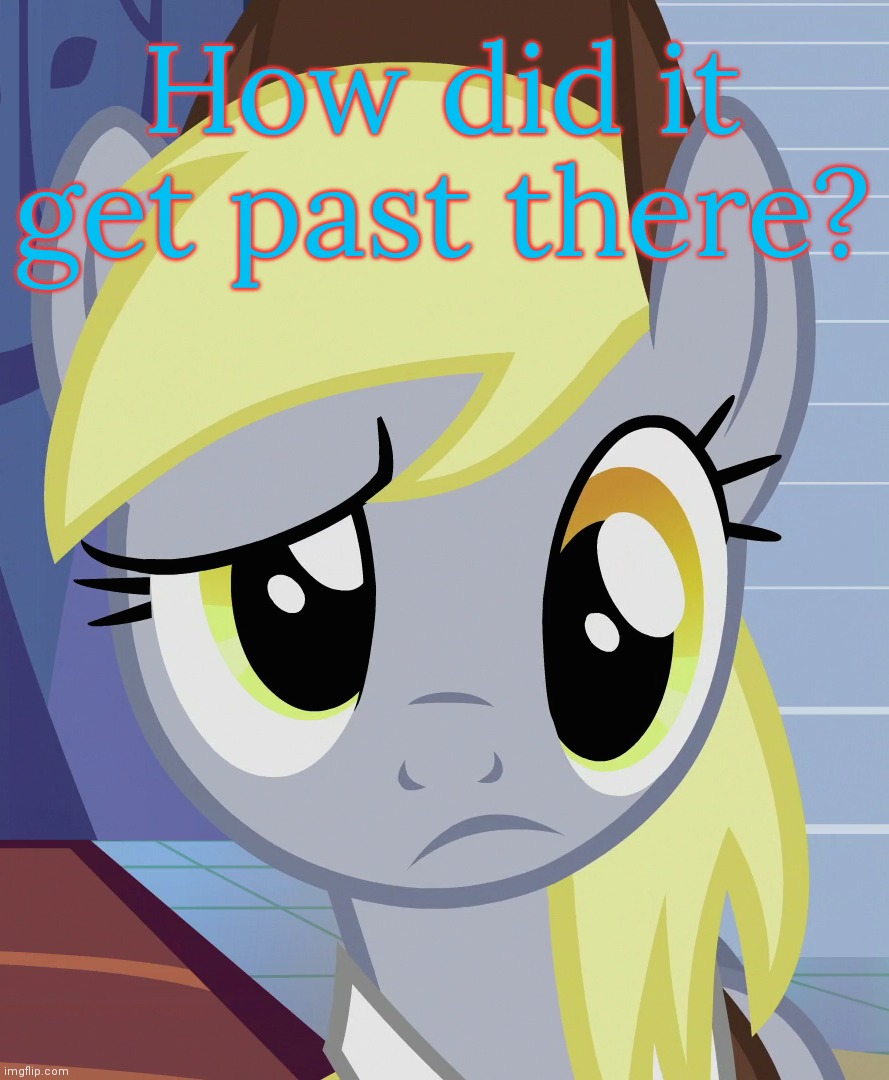 Skeptical Derpy (MLP) | How did it get past there? | image tagged in skeptical derpy mlp | made w/ Imgflip meme maker
