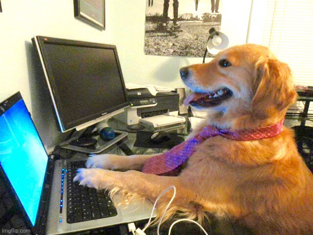 dog computer | image tagged in dog computer | made w/ Imgflip meme maker