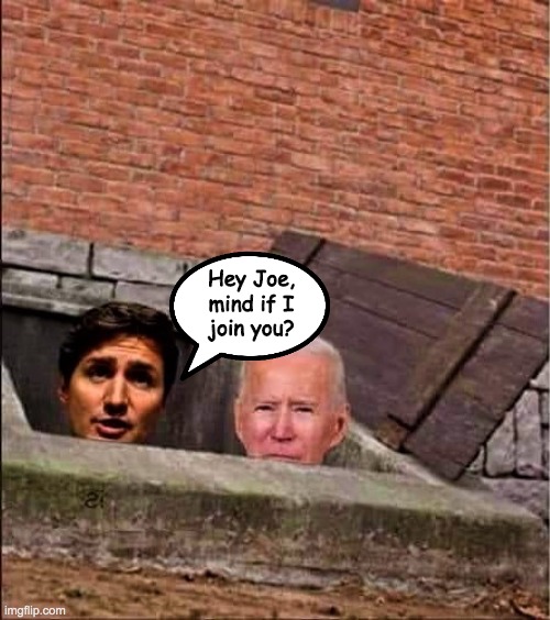 Trudeau and Biden in basement | Hey Joe,
mind if I
join you? | image tagged in trudeau and biden in basement | made w/ Imgflip meme maker