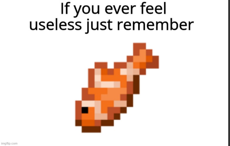 lets be honest here, what good are tropical fish anyway? you can't cook them | image tagged in if you ever feel useless remember this,fish,minecraft | made w/ Imgflip meme maker