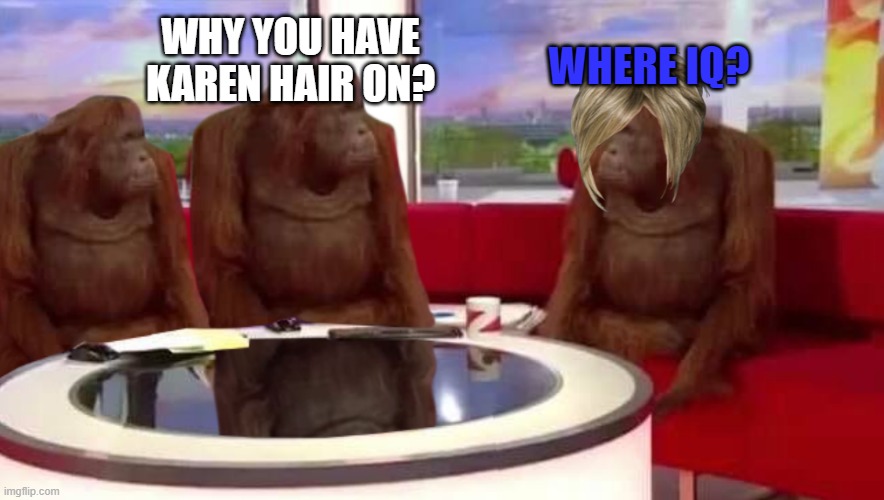 where monkey | WHY YOU HAVE KAREN HAIR ON? WHERE IQ? | image tagged in where monkey | made w/ Imgflip meme maker