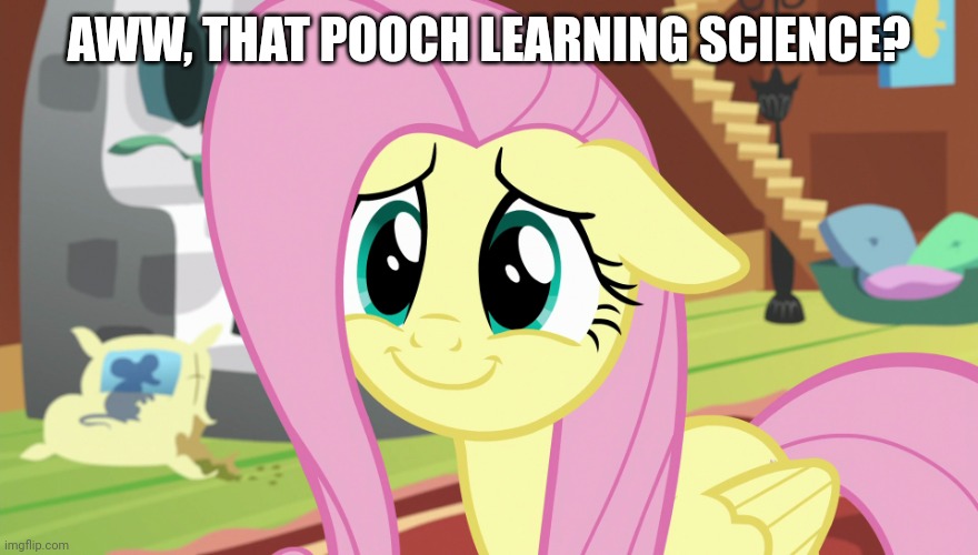 Shyabetes (MLP) | AWW, THAT POOCH LEARNING SCIENCE? | image tagged in shyabetes mlp | made w/ Imgflip meme maker