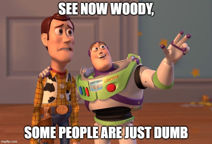 X, X Everywhere Meme | SEE NOW WOODY, SOME PEOPLE ARE JUST DUMB | image tagged in memes,x x everywhere | made w/ Imgflip meme maker