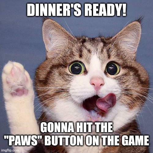 Cat raising paw | DINNER'S READY! GONNA HIT THE "PAWS" BUTTON ON THE GAME | image tagged in cat raising paw | made w/ Imgflip meme maker