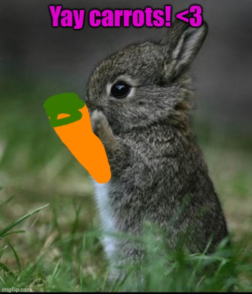 Cute Bunny | Yay carrots! <3 | image tagged in cute bunny | made w/ Imgflip meme maker
