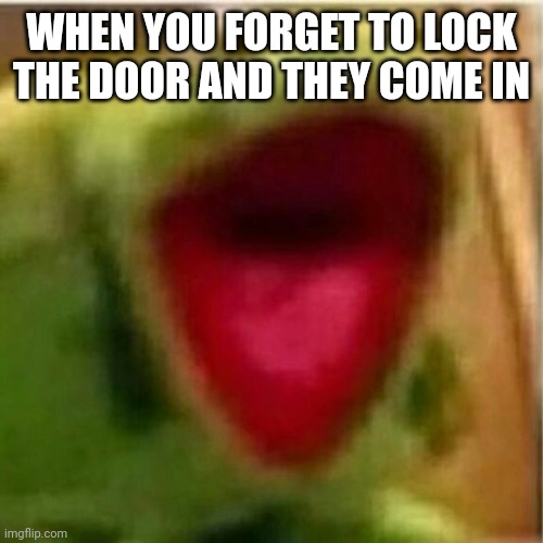 AHHHHHHHHHHHHH | WHEN YOU FORGET TO LOCK THE DOOR AND THEY COME IN | image tagged in ahhhhhhhhhhhhh | made w/ Imgflip meme maker