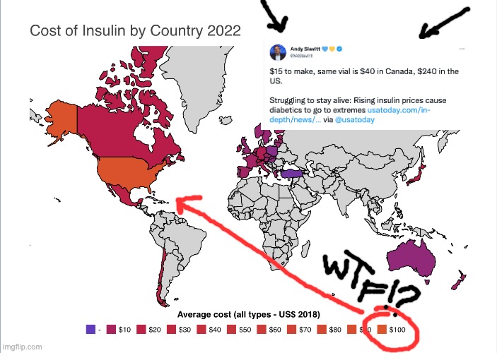 Insulin WTF | image tagged in healthcare,insulin | made w/ Imgflip meme maker