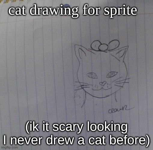 cat drawing for sprite; (ik it scary looking I never drew a cat before) | made w/ Imgflip meme maker