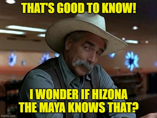 special kind of stupid | THAT'S GOOD TO KNOW! I WONDER IF HIZONA THE MAYA KNOWS THAT? | image tagged in special kind of stupid | made w/ Imgflip meme maker