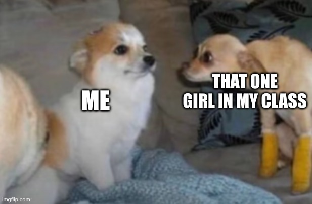 Just stare back. Makes them look away immediately | THAT ONE GIRL IN MY CLASS; ME | image tagged in creepy dog stare | made w/ Imgflip meme maker
