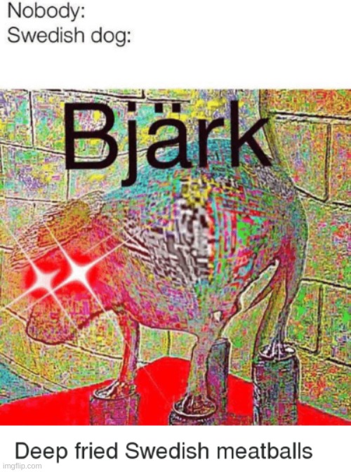 Bjark | image tagged in doge | made w/ Imgflip meme maker