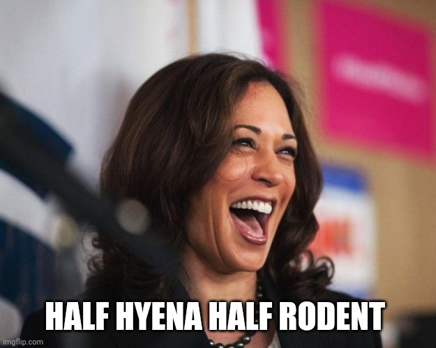 cackling kamala harris | HALF HYENA HALF RODENT | image tagged in cackling kamala harris | made w/ Imgflip meme maker