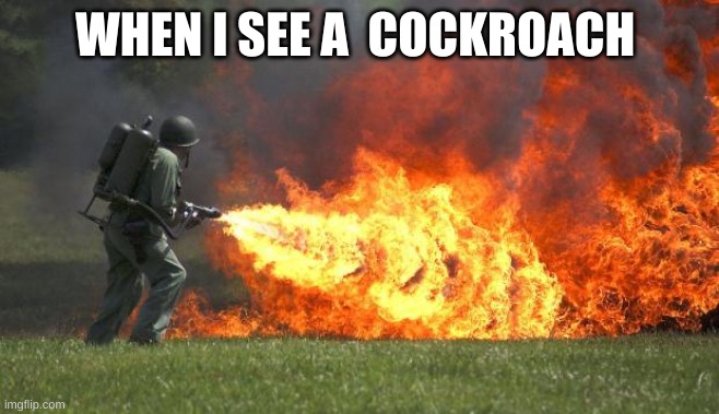 i use buckshot for roaches | WHEN I SEE A  COCKROACH | image tagged in flamethrower | made w/ Imgflip meme maker